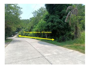 Agro-industrial property convertible for resort or housing project