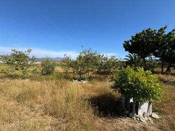 Hermosa Parcela en Venta | Sector Tongoicillo 🏠🌳