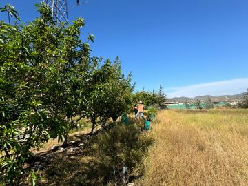 Hermosa Parcela en Venta | Sector Tongoicillo 🏠🌳