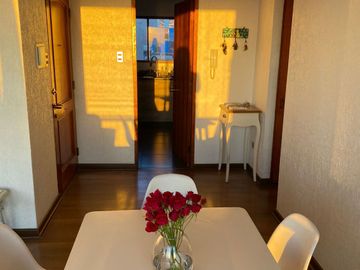 Se vende amplio y hermoso departamento con vista panorámica en sector Parque Japonés de 3 D, 2 b y 1 Bodega. SIN ESTACIONAMIENTO A 6.000 UF (menor val