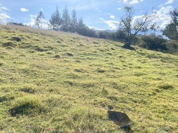Excelente inversión, terreno en venta 5.200m2 IPRUS lote mínimo 500m2 sector Chuquipata