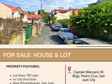 FOR SALE House & Lot in Captain Manzano St., Brgy. Pedro Cruz, San Juan City