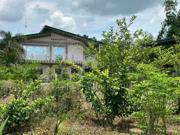 Residential Farm Camiling Tarlac