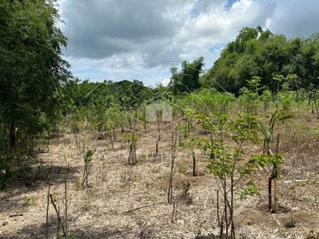Residential Farm Camiling Tarlac