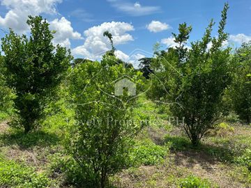 Residential Farm Camiling Tarlac