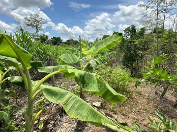 Residential Farm Camiling Tarlac