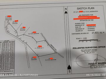 2.7821 hectares along provincial road (highway) with fruit-bearing trees and bounded in falls/creek near Jordan and Buenavista wharf for sale in Buena