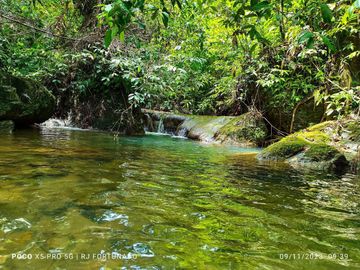 2.7821 hectares along provincial road (highway) with fruit-bearing trees and bounded in falls/creek near Jordan and Buenavista wharf for sale in Buena