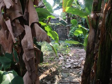 FOR SALE - Residential Vacant Lot in Dona Faustina Village, Quezon City