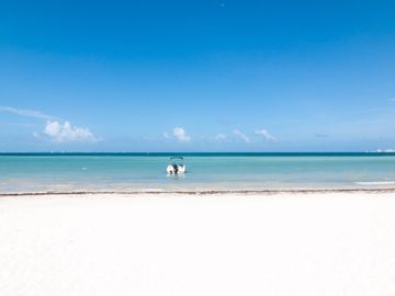 Amara Cancún - Departamento Frente al Mar con Espectaculares Vistas