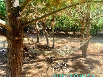 VIVE EN LA TRANQUILIDAD DEL CAMPO Y LA ENERGÍA DE LA PLAYA EN ALGARROBO!