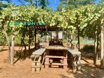 VIVE EN LA TRANQUILIDAD DEL CAMPO Y LA ENERGÍA DE LA PLAYA EN ALGARROBO!
