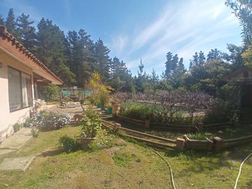 VIVE EN LA TRANQUILIDAD DEL CAMPO Y LA ENERGÍA DE LA PLAYA EN ALGARROBO!