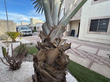 CASA EN VENTA CALLE CALAIR 1702 FRACCIONAMIENTO LA CALZADA CIUDAD OBREGON SONORA CP 85060