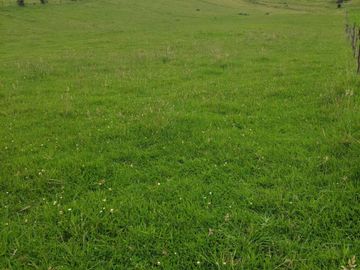 SE VENDE  HACIENDA GANADERA EN PINTAG