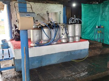SE VENDE  HACIENDA GANADERA EN PINTAG