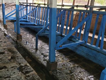 SE VENDE  HACIENDA GANADERA EN PINTAG