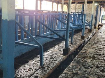SE VENDE  HACIENDA GANADERA EN PINTAG