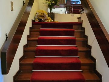 ENCANTADORA CASA EN MIRAFLORES