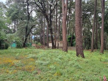 TERRENO CON ENTORNO DE BOSQUE, EN VENTA