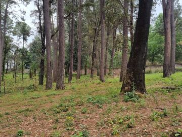 TERRENO CON ENTORNO DE BOSQUE, EN VENTA