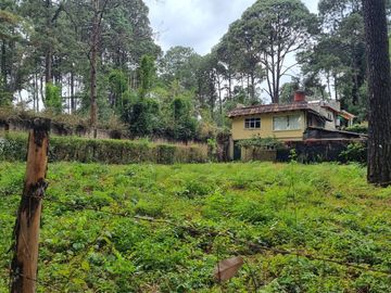 TERRENO CON ENTORNO DE BOSQUE, EN VENTA