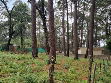 TERRENO CON ENTORNO DE BOSQUE, EN VENTA