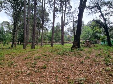 TERRENO CON ENTORNO DE BOSQUE, EN VENTA