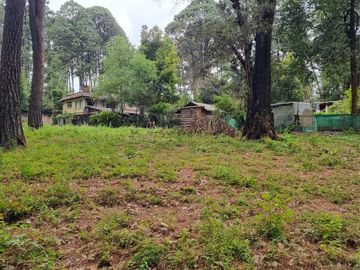 TERRENO CON ENTORNO DE BOSQUE, EN VENTA