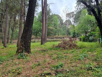 TERRENO CON ENTORNO DE BOSQUE, EN VENTA
