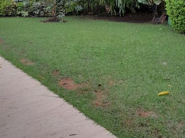 VENTA CASA PANCE UN PISO