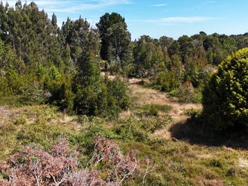 Se vende Parcela En Puerto Montt Cercana A Valle Volcanes