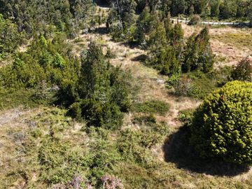 Se vende Parcela En Puerto Montt Cercana A Valle Volcanes