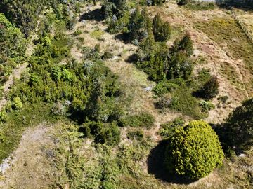 Se vende Parcela En Puerto Montt Cercana A Valle Volcanes