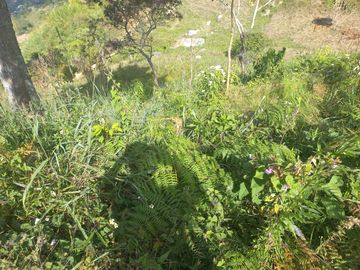 TE VENDO HERMOSO Y AMPLIO TERRENO EN BARBOSA ANTIOQUIA.