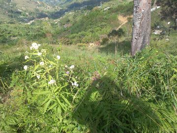 TE VENDO HERMOSO Y AMPLIO TERRENO EN BARBOSA ANTIOQUIA.