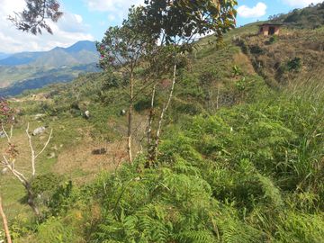 TE VENDO HERMOSO Y AMPLIO TERRENO EN BARBOSA ANTIOQUIA.