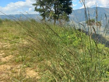 TE VENDO HERMOSO Y AMPLIO TERRENO EN BARBOSA ANTIOQUIA.