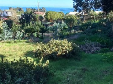 SE VENDEN TERRENOS SECTOR BOSQUES DE CHEPICA