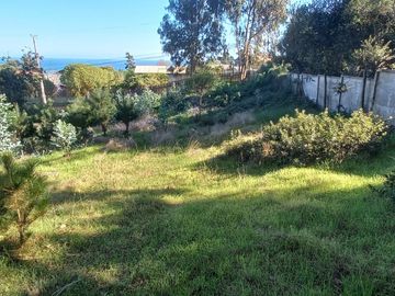 SE VENDEN TERRENOS SECTOR BOSQUES DE CHEPICA