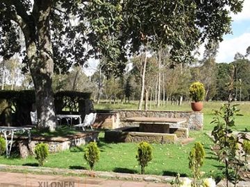 Rancho Privilegiado de 40 Hectáreas con Bella Ecología ( árboles de encinos, robles, ocotes y eucaliptos) y planicies. Delimitado totalmente.