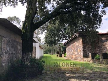 Rancho Privilegiado de 40 Hectáreas con Bella Ecología ( árboles de encinos, robles, ocotes y eucaliptos) y planicies. Delimitado totalmente.