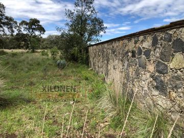 Rancho Privilegiado de 40 Hectáreas con Bella Ecología ( árboles de encinos, robles, ocotes y eucaliptos) y planicies. Delimitado totalmente.