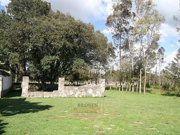 Rancho Privilegiado de 40 Hectáreas con Bella Ecología ( árboles de encinos, robles, ocotes y eucaliptos) y planicies. Delimitado totalmente.