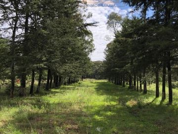 Rancho Privilegiado de 40 Hectáreas con Bella Ecología ( árboles de encinos, robles, ocotes y eucaliptos) y planicies. Delimitado totalmente.