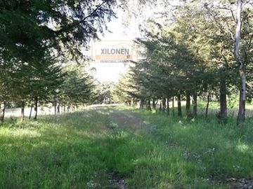 Rancho Privilegiado de 40 Hectáreas con Bella Ecología ( árboles de encinos, robles, ocotes y eucaliptos) y planicies. Delimitado totalmente.