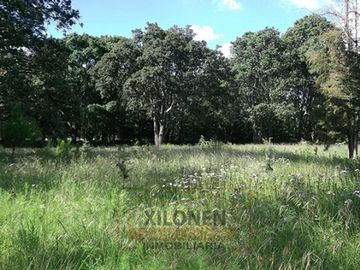 Rancho Privilegiado de 40 Hectáreas con Bella Ecología ( árboles de encinos, robles, ocotes y eucaliptos) y planicies. Delimitado totalmente.