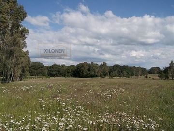 Rancho Privilegiado de 40 Hectáreas con Bella Ecología ( árboles de encinos, robles, ocotes y eucaliptos) y planicies. Delimitado totalmente.