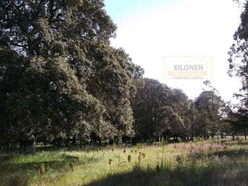 Rancho Privilegiado de 40 Hectáreas con Bella Ecología ( árboles de encinos, robles, ocotes y eucaliptos) y planicies. Delimitado totalmente.