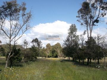 Rancho Privilegiado de 40 Hectáreas con Bella Ecología ( árboles de encinos, robles, ocotes y eucaliptos) y planicies. Delimitado totalmente.